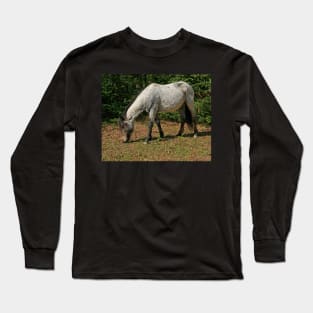 New Forest Pony Long Sleeve T-Shirt